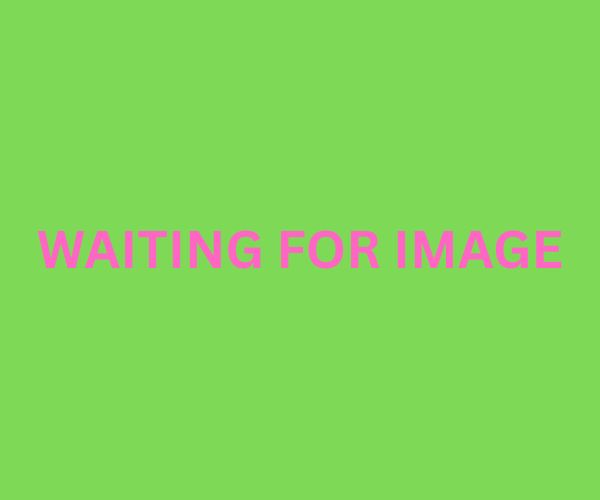 Waiting for an image