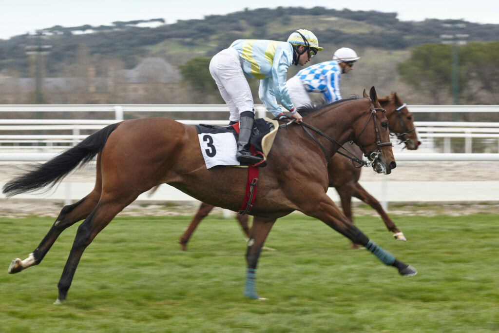 Two horses with jockeys racing on a racetrack.